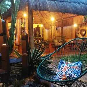 barrio-latino.allrivieramayahotels.com/